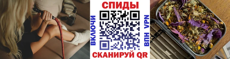 купить  цена  Донской  БУТИРАТ буратино 