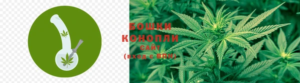 ALPHA PVP Майский