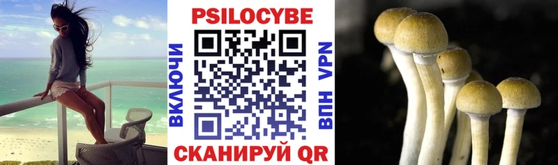 Галлюциногенные грибы прущие грибы  Донской 