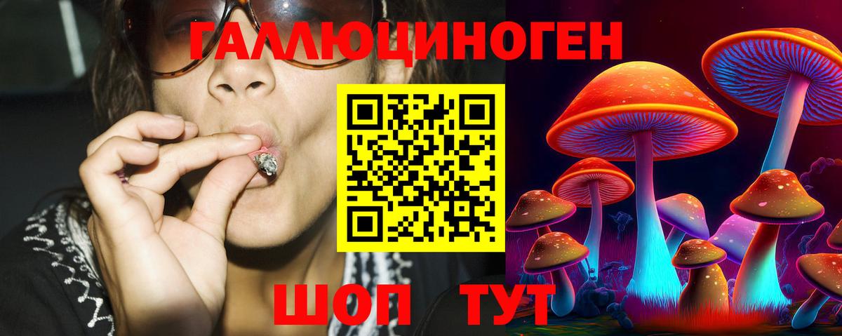 Псилоцибиновые грибы GOLDEN TEACHER Донской
