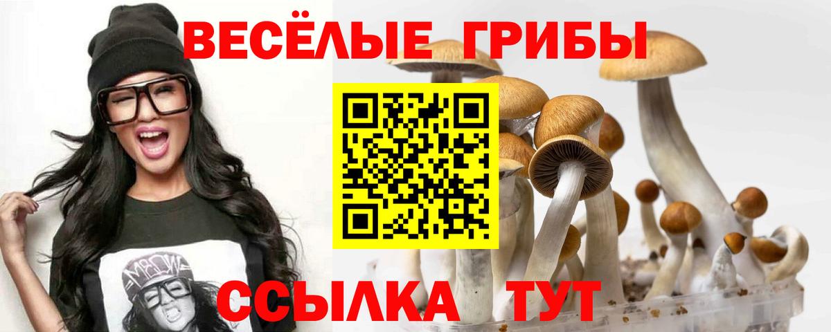 цены   Вход с VPN  Донской  Галлюциногенные грибы Psilocybe  Псилоцибиновые грибы MAGIC MUSHROOMS 